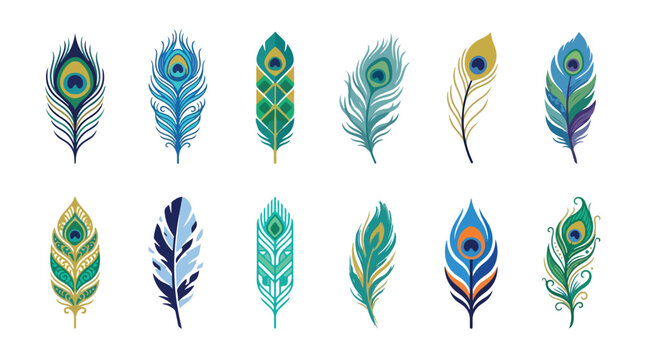 Vibrant peacock feathers arranged in two rows on a white background with colorful and detailed patterns.