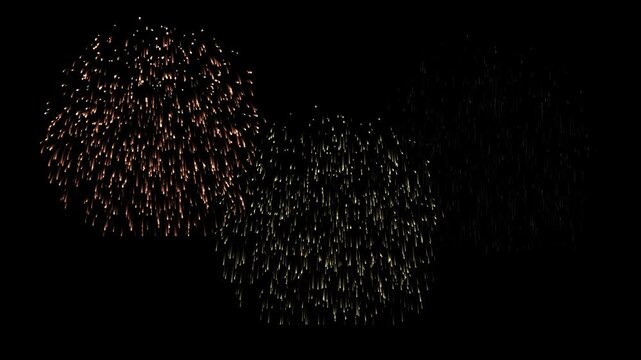 Colorful fireworks explodes on black background, animation of the explosion and fall of confetti. confetti bomb effect from the inside glitter background with gold slowly falling in 4k video