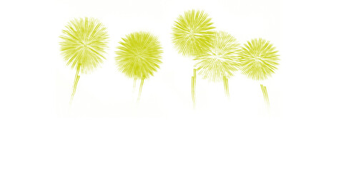 Obraz premium Dandelion flowers, green fluffy seeds, nature background