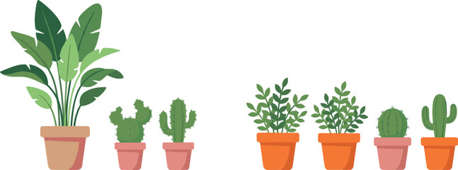 Set of Diverse Houseplants and Cactuses in Colorful Pots for Indoor Home Decor Gardening Education Botany Study and Modern Interior Lifestyle Graphic Design Projects © MstMorgena