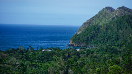 Obraz premium WILD, NATURAL COASTLINE AMONG GREEN MOUNTAINS ON THE BEACH OF VENEZUELA