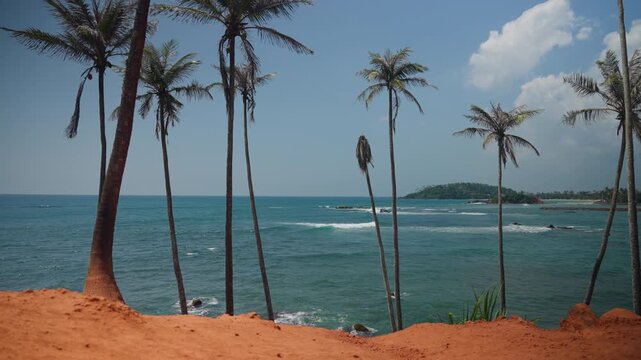 Exotic palm tree alley at Coconut Tree Hill, Sri Lanka