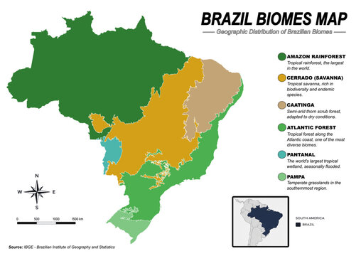 Brazil Biomes Map Vector &ndash; Geographic Distribution of Brazilian Ecosystems