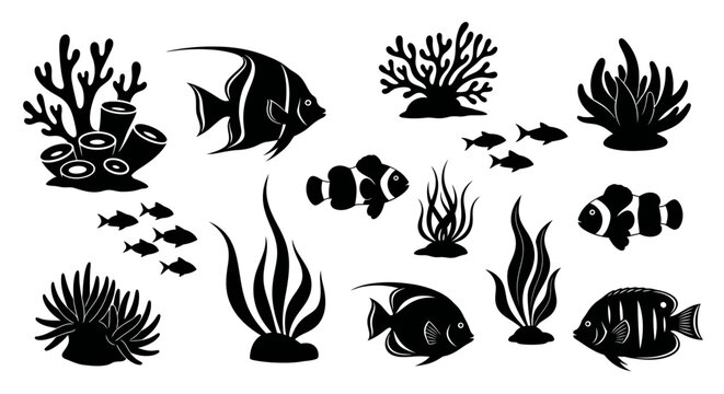 Collection of black and white underwater sea life illustrations featuring various fish and coral reef elements