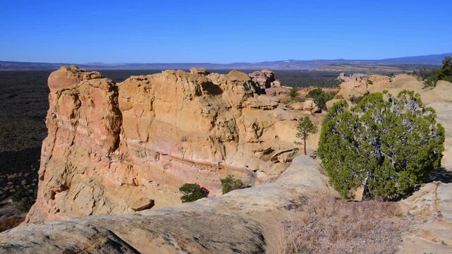 Sandstone cliffs with drought-tolerant coniferous vegetation at the margin of a lava valley in El Malpais National Monument