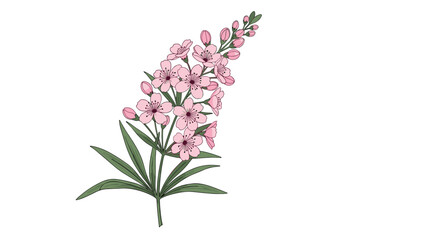 Fototapeta premium Pink flowering branch with delicate blossoms and long green leaves for a romantic and soft floral composition.