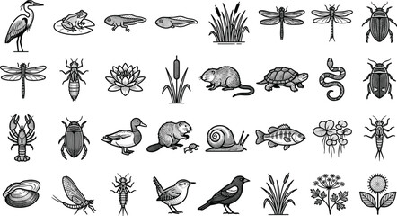 Set of Wildlife and Aquatic Life Illustrations Featuring Birds, Insects, Fish, Amphibians, and Plants for Digital Art and Nature Graphics © Md Shujan islam
