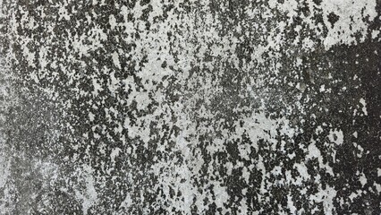 Obraz premium Old concrete wall texture with black mold and moss stains. Weathered cement surface with heavy dark mold and moss patterns. Close-up of an aged industrial wall showing natural decay.