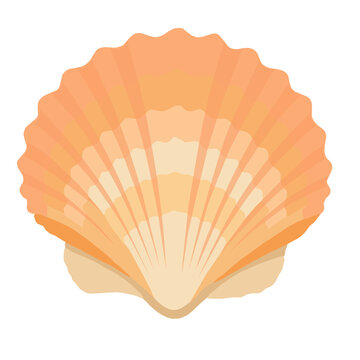 orange scallop shell illustration. beach sea shell vector. ocean mollusk flat icon. seashell isolated on white background. summer coastal element design