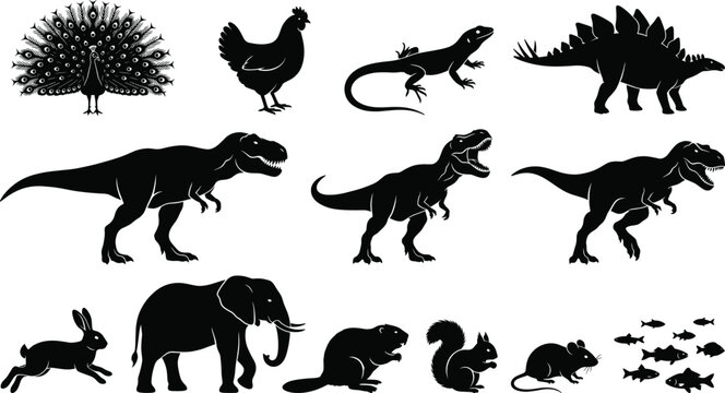 Large collection of animal silhouettes featuring dinosaurs elephants birds and small mammals isolated on a clean white background vector