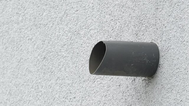 Two house sparrows taking off simultaneously from a wall pipe, male bird clearing the way for female, 4K slow motion