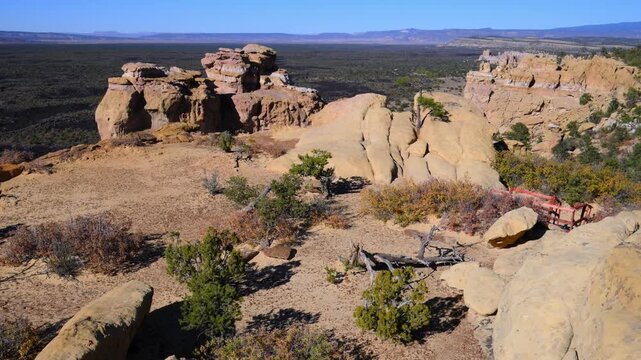 Sandstone cliffs with drought-tolerant coniferous vegetation at the margin of a lava valley in El Malpais National Monument