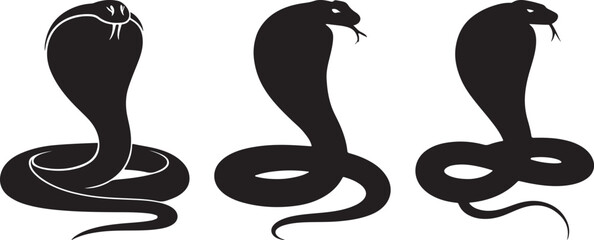Three black cobra snake silhouettes coiled and upright © MdMezbahul