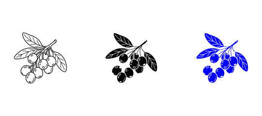 buffalo berry © Abdul