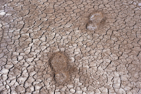 Footprints on Cracked Dry Earth Texture During Severe Summer Drought