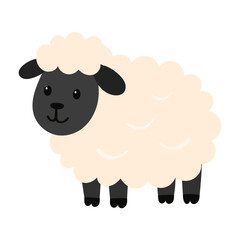 Obraz premium Cute farm sheep fluffy domestic animal playful countryside character portrait