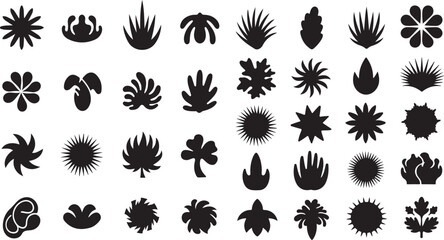 Fototapeta premium Botanical plant and leaf silhouette vector icon set