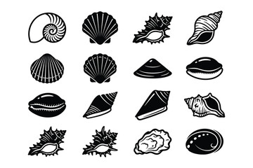 Obraz premium Black and white seashell collection graphic design elements