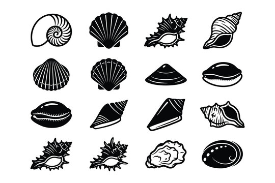 Black and white seashell collection graphic design elements