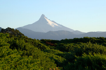 Fototapeta premium Corcovado volcano seen from Chaitén beach at sunset with a foreground of bright green Chacay plants and a peaceful setting