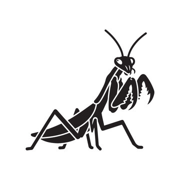 Praying mantis vector illustration. Stylized insect silhouette ideal for nature and wildlife design, representing predatory instinct and biological diversity