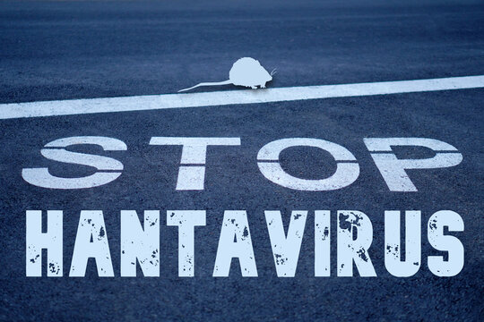 stop Hantavirus. health and medicine. letters on a road sign