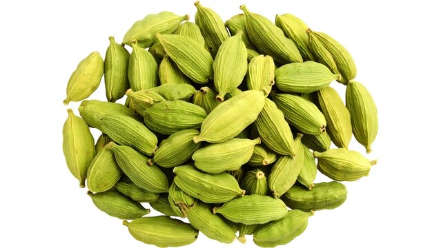 Fresh green cardamom pods isolated on white are healthy organic ingredients perfect for a vegetarian diet and raw food market harvest