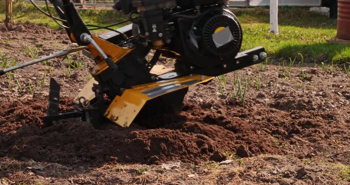 Agricultural machinery preparing land for planting with a cultivator, creating furrows in the soil. Professional gardener tilling the ground with a rototiller in a backyard vegetable garden.