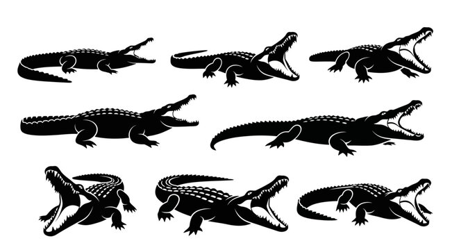 Set of Crocodile Silhouettes, Open Mouth, Aggressive Poses, Vector Illustration