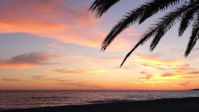 Palm trees against backdrop of sunset over sea. Golden pink sunset at sout Spain. Mediterranean Sea, Waves roll onto sandy beach