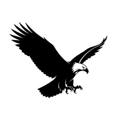 Fototapeta premium Majestic bald eagle soaring with powerful outstretched wings.