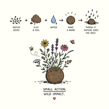 Seed Bomb DIY Illustration for Guerrilla Gardening and Wildflower Conservation