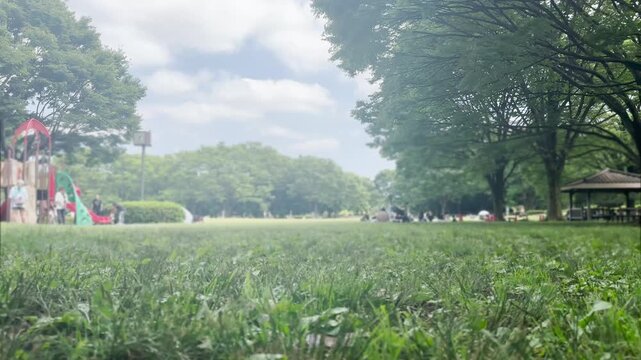 Lush green grass stretches under a partly cloudy sky