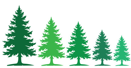 Obraz premium Gradient pine tree silhouettes