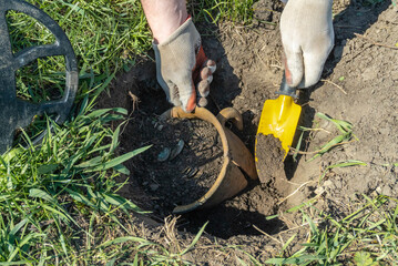 A treasure hunter uses a metal detector in a grassy area. While digging, he finds a small pot or a hoard of coins. The ground is loose and the sun is shining overhead © Віталій Б.