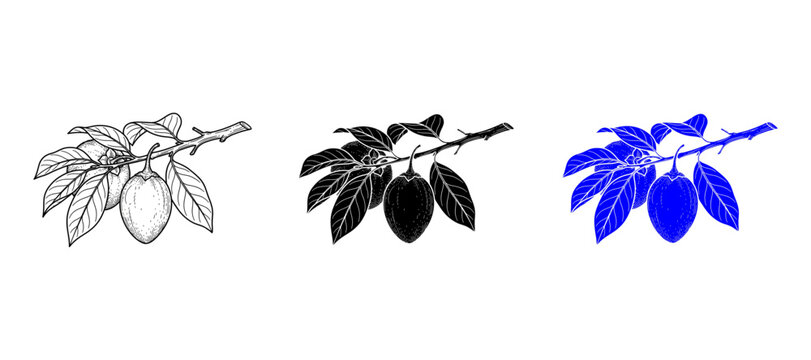 tamarillo