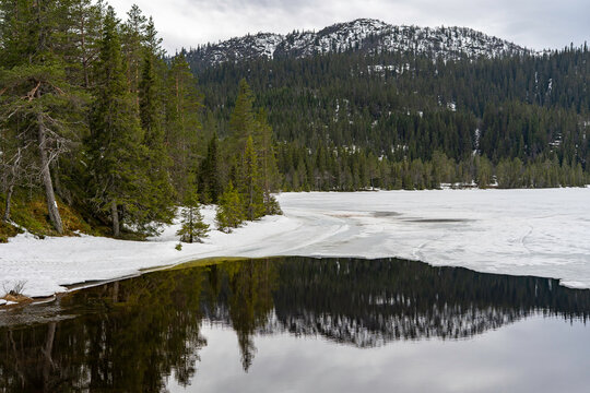 Amazing view of Norwegian mountains. Stunning landscape with evergreen forest and lake with reflections. 