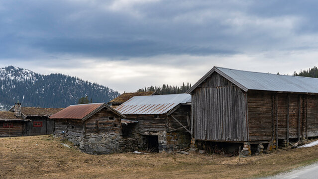 Traditional Norwegian stabbur storage houses and historic rural wooden architecture at Tinn Museum in Rjukan, Telemark, Norway. Authentic Scandinavian farm buildings with grass roofs, mountain landsca