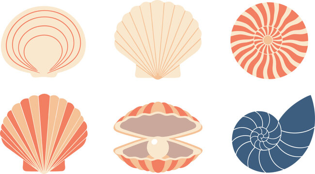 Colorful Flat Style Seashell Collection Vector Set with Pearl Oyster and Nautilus Ocean Design