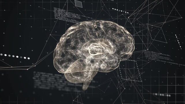 Translucent brain rotating after bright panel pass, pulsing nodes, sliding panels showing data flow