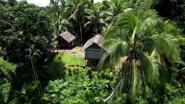Aerial view of traditional stilt houses with thatched roofs surrounded by dense palm trees and tropical greenery in Wewak, East Sepik Province, Papua New Guinea.