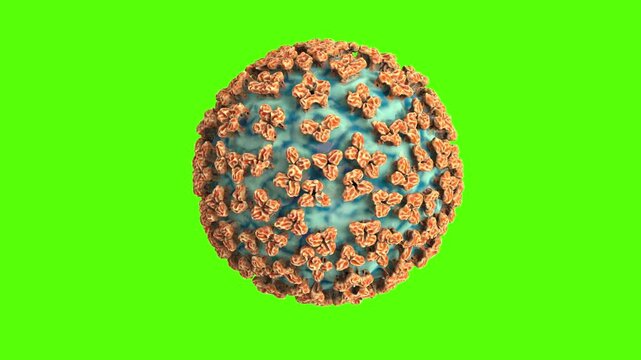 Hantavirus On Chroma Green 4k