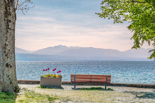 Banc public et bac &agrave; fleurs face aux Alpes et au lac L&eacute;man dans une lumi&egrave;re douce, Saint-Prex, Suisse