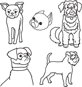 Griffon Bruxellois minimalistic simple outline drawing children coloring page social media graphic veterinary clinics, pet salons grooming, dog products set characters fluffy cute pet sketch doodle