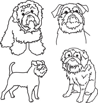 Griffon Bruxellois minimalistic simple outline drawing children coloring page social media graphic veterinary clinics, pet salons grooming, dog products set characters fluffy cute pet sketch doodle