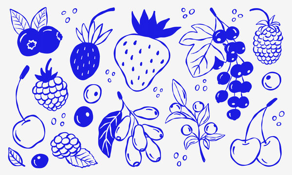Hand-drawn berries set in blue ink