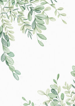 Watercolor vintage composition card with eucalyptus branches on paper texture. Hand drawn illustration sketch