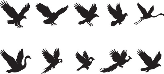 Bird silhouettes in flight collection, eagle hawk flamingo swan parrot diverse species wings spread flying posture black vector illustration © MOSTSHAHANAJ