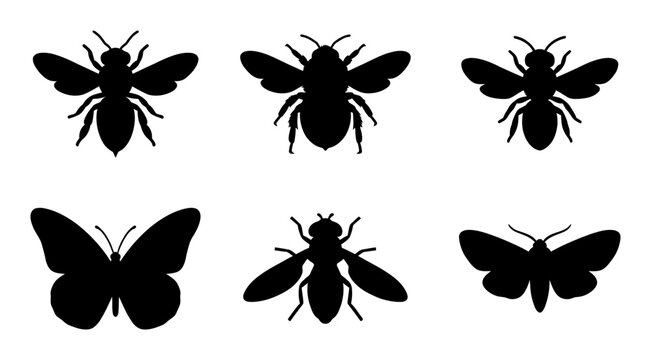 6 insect silhouette icons, including three bees, a butterfly, a fly, and a moth, solid black style, nature collection