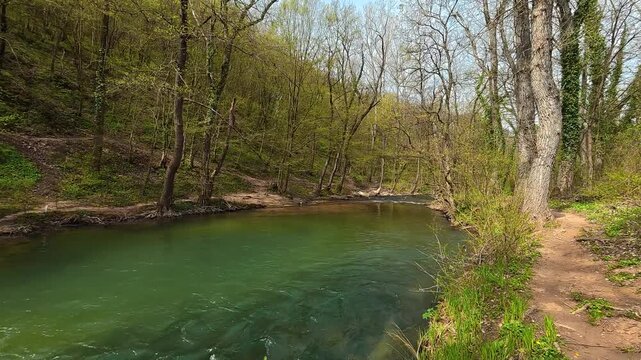 Emerald stream flows through quiet forested valley. Mount Ozren, Sokobanja, Serbia